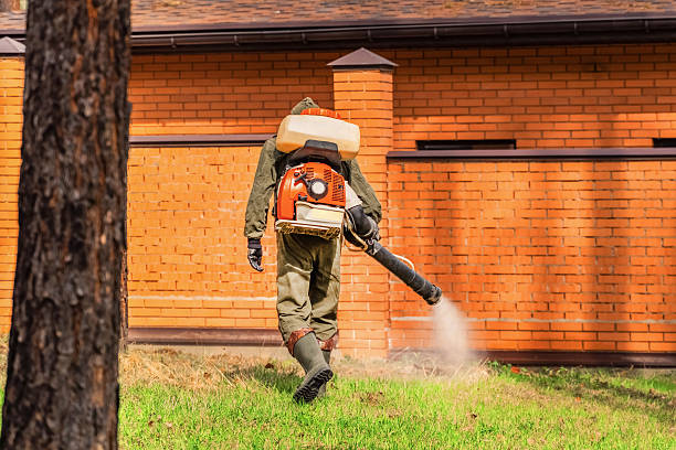 Bed Bug Clearance Verification and Documentation in Kaanapali